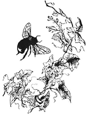 McGuffey’s Eclectic Primer Lesson 44: Buzz! buzz!