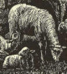 McGuffey’s Eclectic Primer Lesson 45: Review – The man had a pipe in his mouth