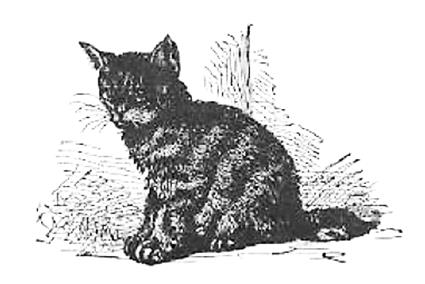 McGuffey’s Eclectic Primer Lesson 49: I love my dear puss