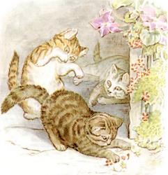 The Tale of Tom Kitten
