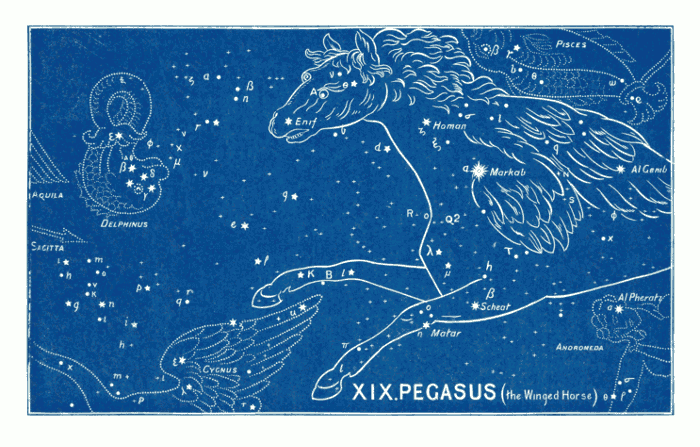 Witness of the Stars:  PEGASUS (The Winged Horse)