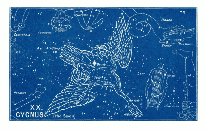 Witness of the Stars: CYGNUS (The Swan)